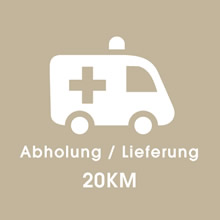 DaveDoctorDing - Abholung / Lieferung 20 km