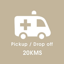 DaveDoctorDing - Pickup / Delivery 20 kms