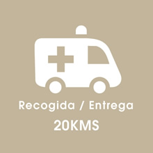 DaveDoctorDing - Recogida / Entrega 20 kms